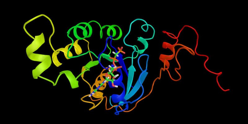 Bio1